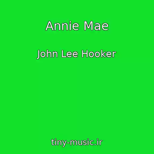 کاور آهنگ Annie Mae از John Lee Hooker