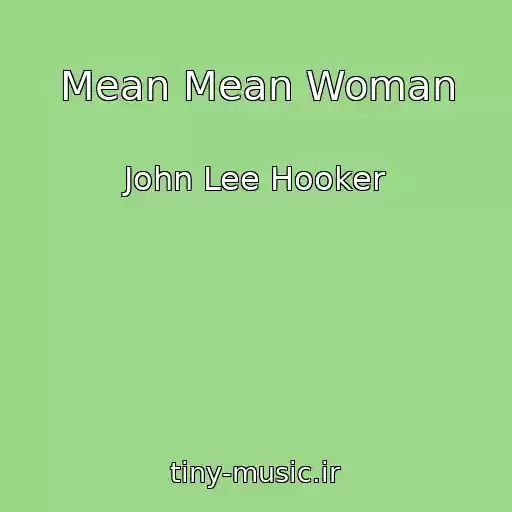 کاور آهنگ Mean Mean Woman از John Lee Hooker