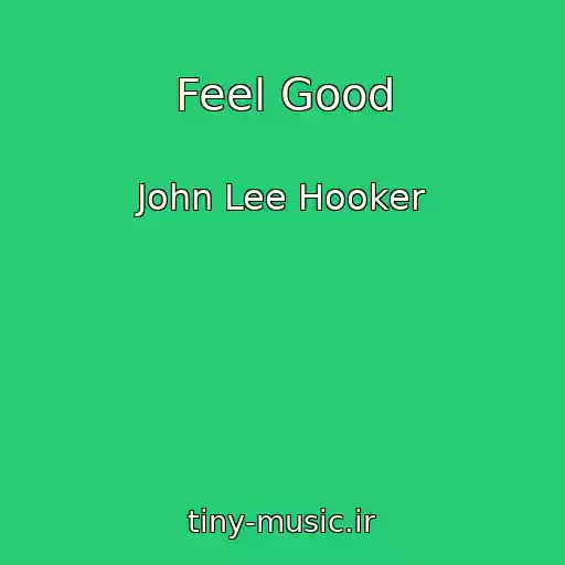 کاور آهنگ Feel Good از John Lee Hooker