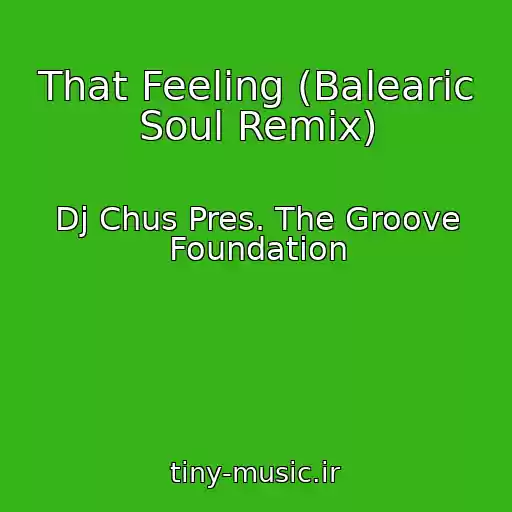 کاور آهنگ That Feeling (Balearic Soul Remix) از Dj Chus Pres. The Groove Foundation