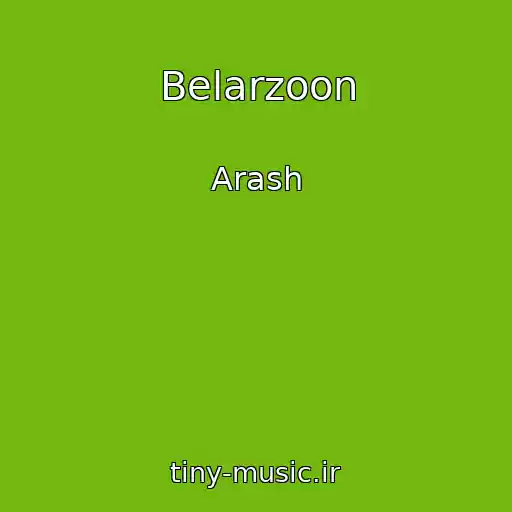 کاور آهنگ Belarzoon از Arash