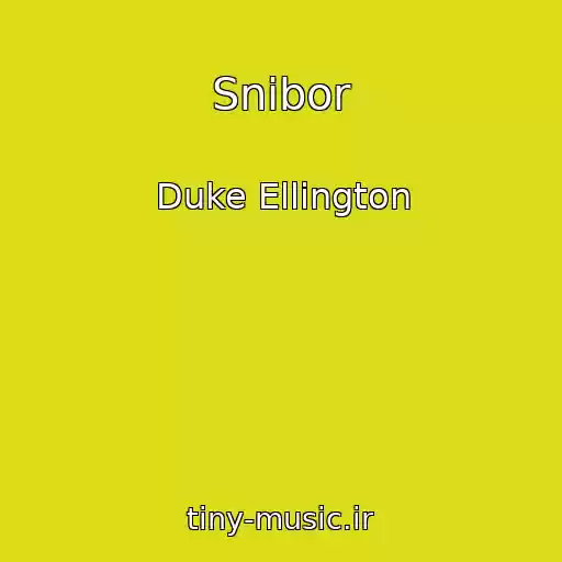 کاور آهنگ Snibor از Duke Ellington