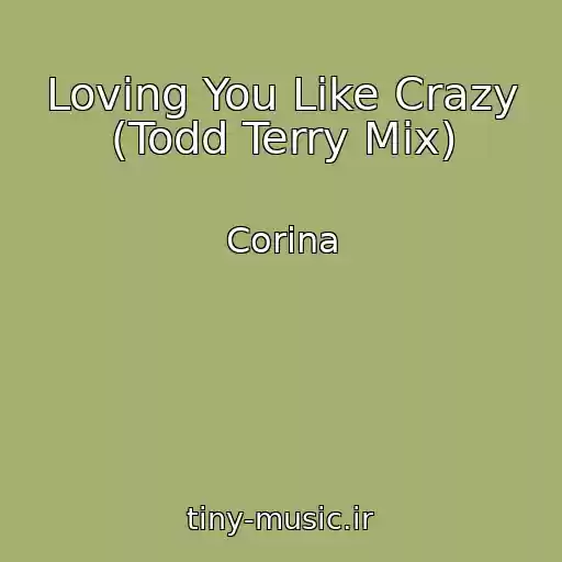کاور آهنگ Loving You Like Crazy (Todd Terry Mix) از Corina