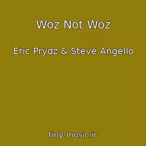کاور آهنگ Woz Not Woz از Eric Prydz & Steve Angello