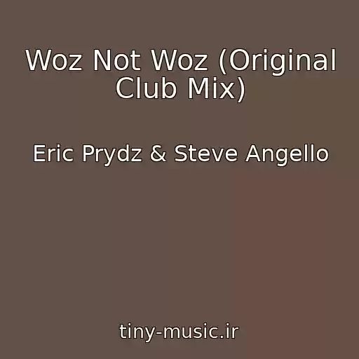 کاور آهنگ Woz Not Woz (Original Club Mix) از Eric Prydz & Steve Angello