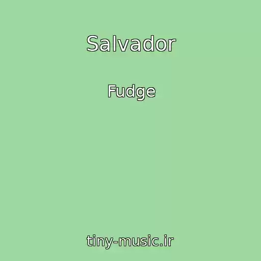 کاور آهنگ Salvador از Fudge