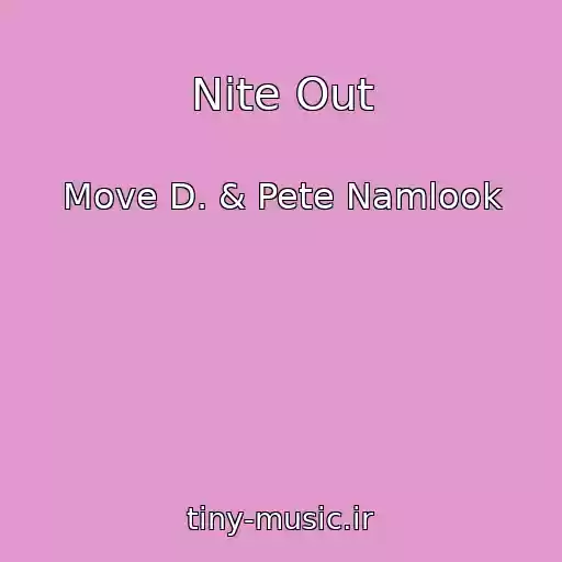 کاور آهنگ Nite Out از Move D. & Pete Namlook