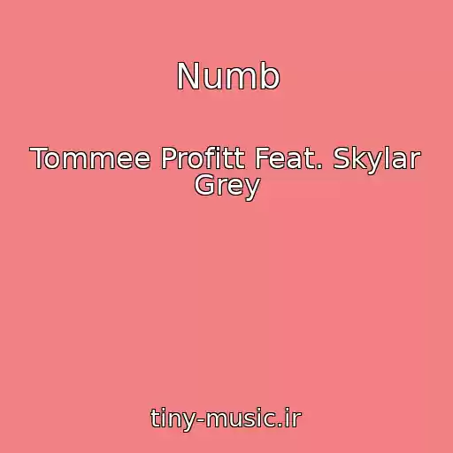 کاور آهنگ Numb از Tommee Profitt Feat. Skylar Grey
