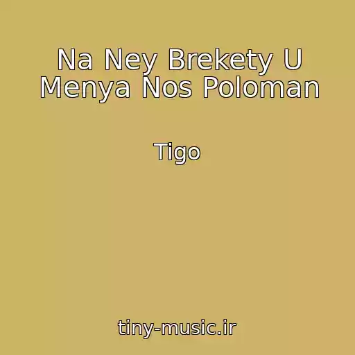 کاور آهنگ Na Ney Brekety U Menya Nos Poloman از Tigo