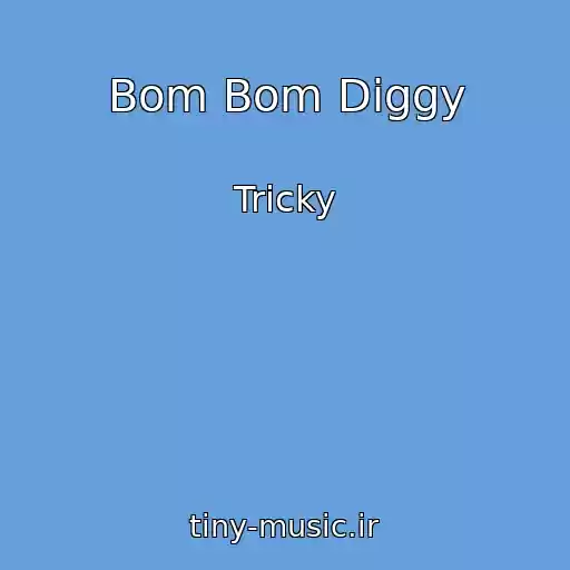 کاور آهنگ Bom Bom Diggy از Tricky