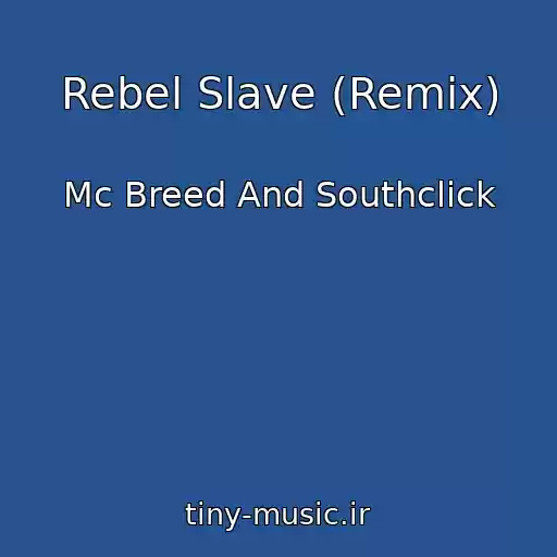 کاور آهنگ Rebel Slave (Remix) از Mc Breed And Southclick