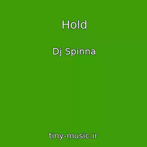 کاور آهنگ Hold از Dj Spinna