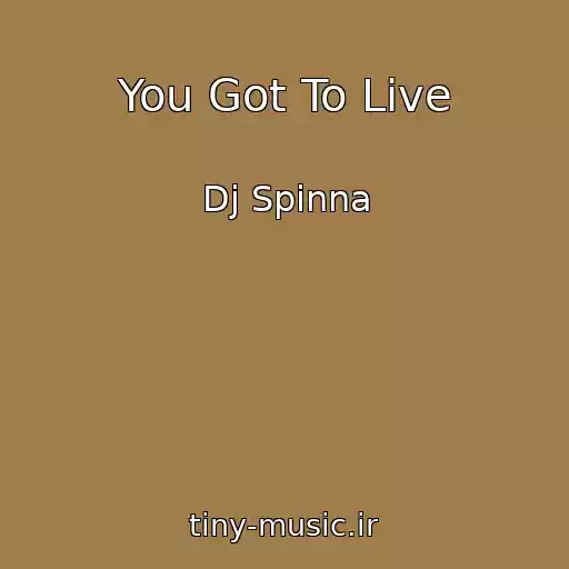 کاور آهنگ You Got To Live از Dj Spinna