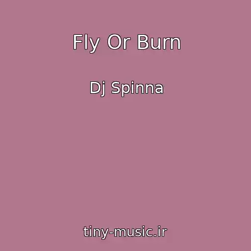 کاور آهنگ Fly Or Burn از Dj Spinna