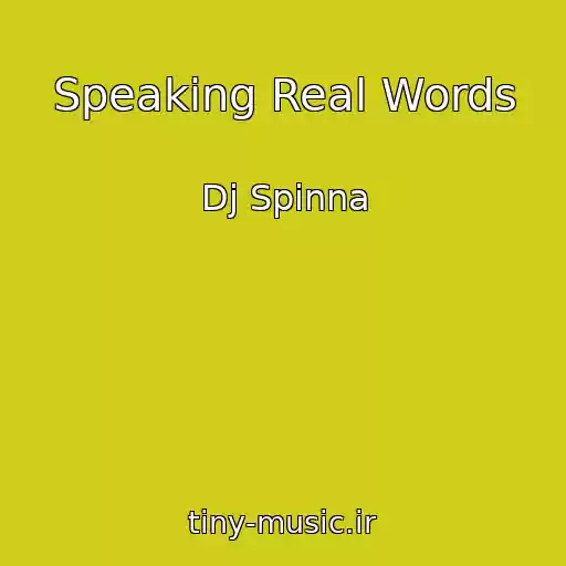 کاور آهنگ Speaking Real Words از Dj Spinna