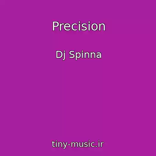 کاور آهنگ Precision از Dj Spinna