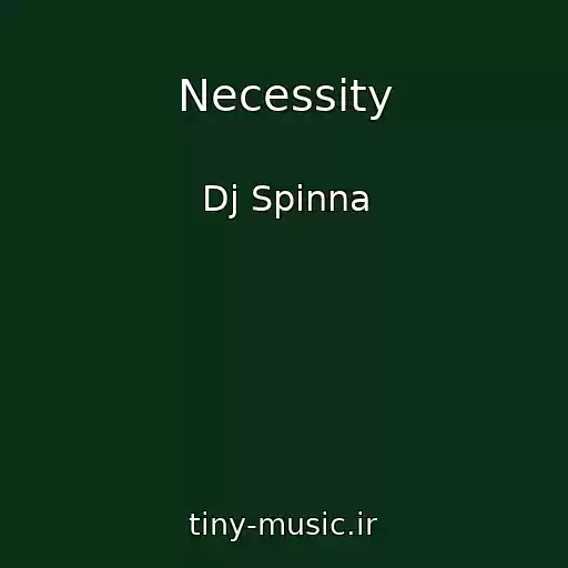کاور آهنگ Necessity از Dj Spinna