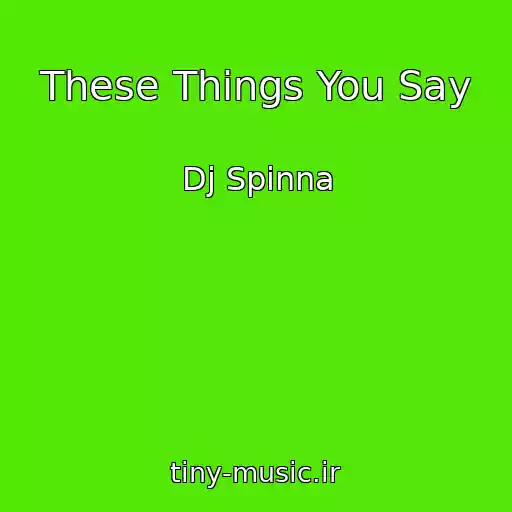 کاور آهنگ These Things You Say از Dj Spinna
