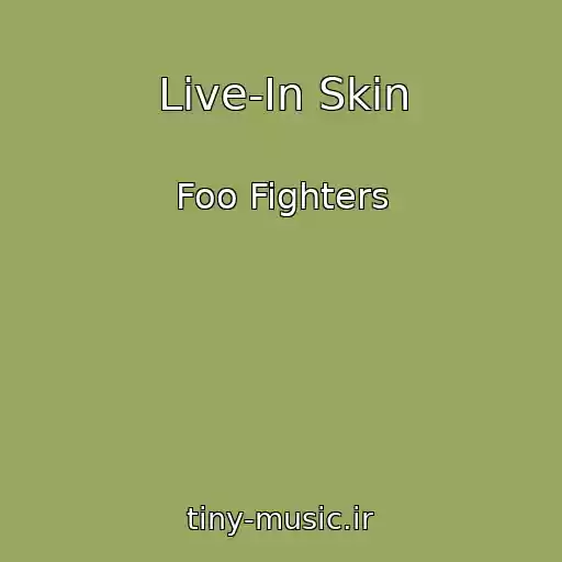 کاور آهنگ Live-In Skin از Foo Fighters