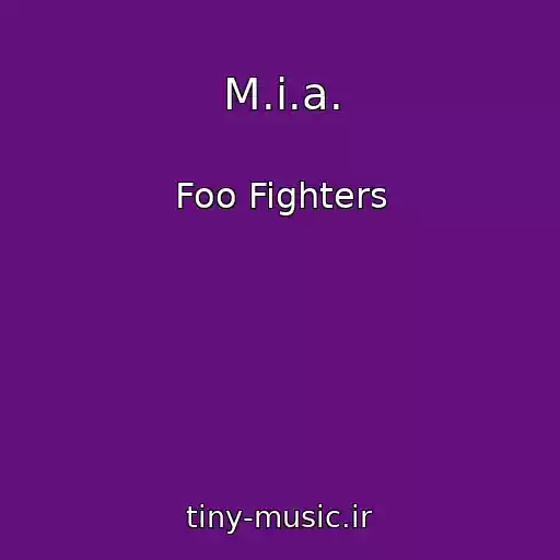 کاور آهنگ M.i.a. از Foo Fighters