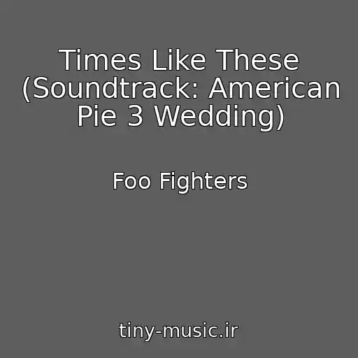 کاور آهنگ Times Like These (Soundtrack: American Pie 3 Wedding) از Foo Fighters