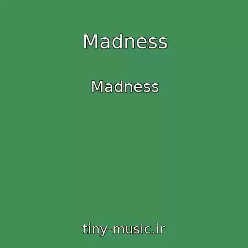 کاور آهنگ Madness از Madness