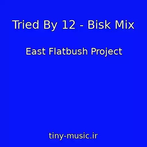 کاور آهنگ Tried By 12 - Bisk Mix از East Flatbush Project