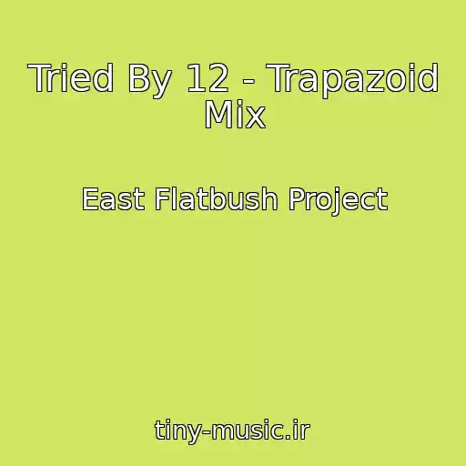 کاور آهنگ Tried By 12 - Trapazoid Mix از East Flatbush Project