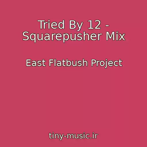 کاور آهنگ Tried By 12 - Squarepusher Mix از East Flatbush Project