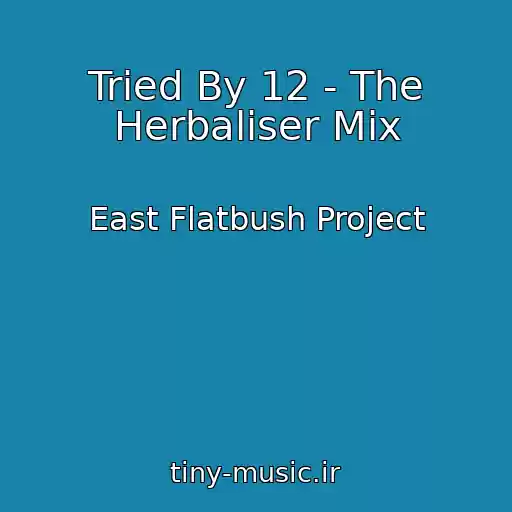 کاور آهنگ Tried By 12 - The Herbaliser Mix از East Flatbush Project