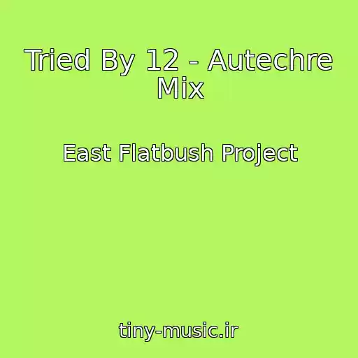 کاور آهنگ Tried By 12 - Autechre Mix از East Flatbush Project
