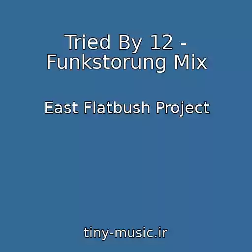 کاور آهنگ Tried By 12 - Funkstorung Mix از East Flatbush Project