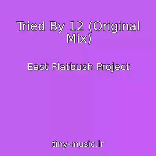 کاور آهنگ Tried By 12 (Original Mix) از East Flatbush Project