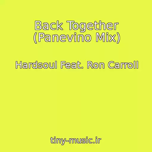 کاور آهنگ Back Together (Panevino Mix) از Hardsoul Feat. Ron Carroll