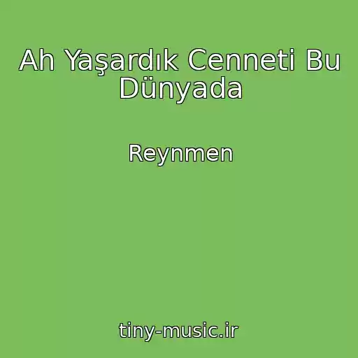 کاور آهنگ Ah Yaşardık Cenneti Bu Dünyada از Reynmen