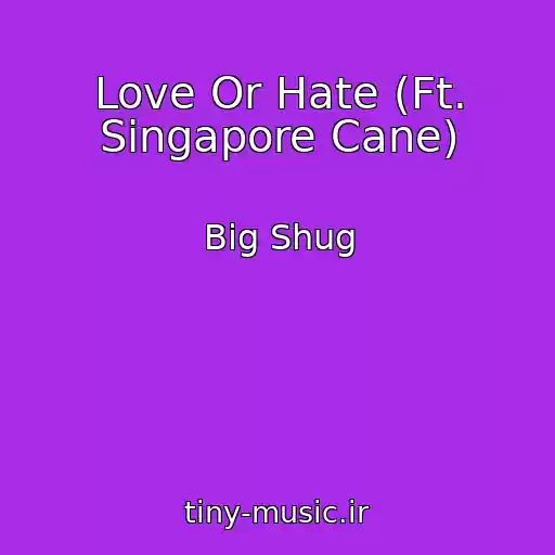 کاور آهنگ Love Or Hate (Ft. Singapore Cane) از Big Shug