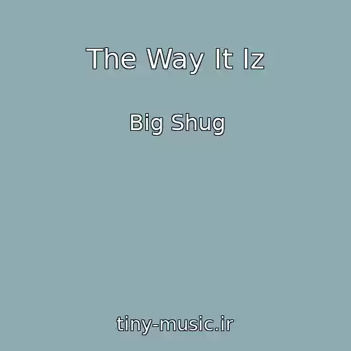 کاور آهنگ The Way It Iz از Big Shug