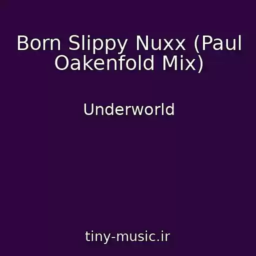 کاور آهنگ Born Slippy Nuxx (Paul Oakenfold Mix) از Underworld
