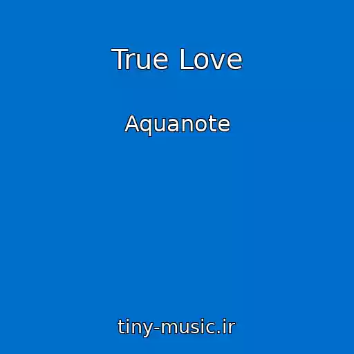 کاور آهنگ True Love از Aquanote