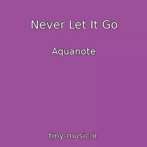 کاور آهنگ Never Let It Go از Aquanote