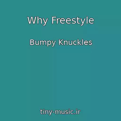 کاور آهنگ Why Freestyle از Bumpy Knuckles