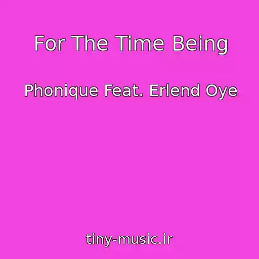 کاور آهنگ For The Time Being از Phonique Feat. Erlend Oye