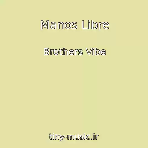کاور آهنگ Manos Libre از Brothers Vibe