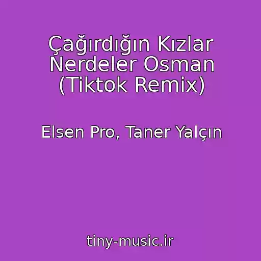 کاور آهنگ Çağırdığın Kızlar Nerdeler Osman (Tiktok Remix) از Elsen Pro, Taner Yalçın
