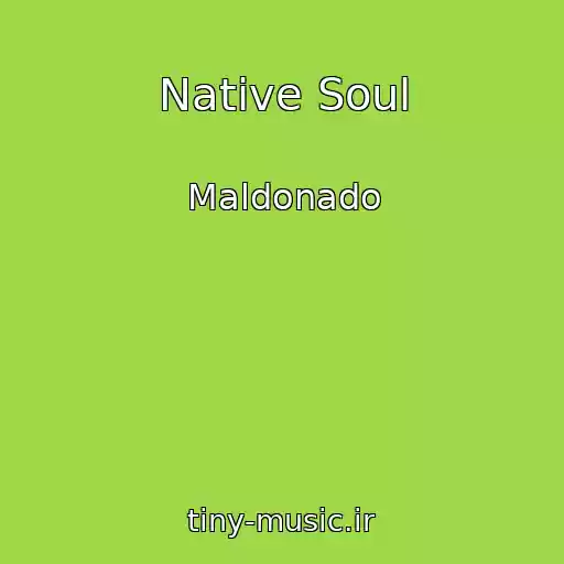 کاور آهنگ Native Soul از Maldonado