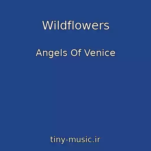 کاور آهنگ Wildflowers از Angels Of Venice