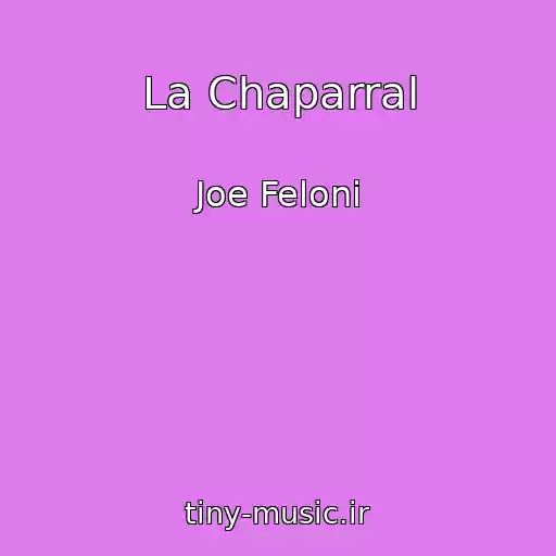 کاور آهنگ La Chaparral از Joe Feloni