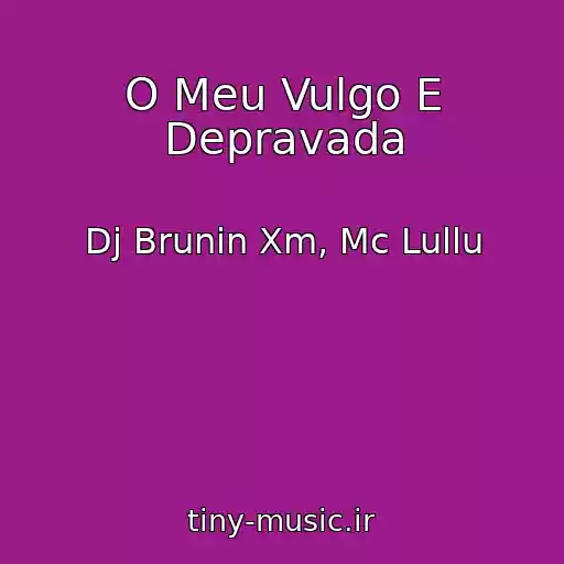 کاور آهنگ O Meu Vulgo E Depravada از Dj Brunin Xm, Mc Lullu