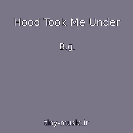 کاور آهنگ Hood Took Me Under از B.g.