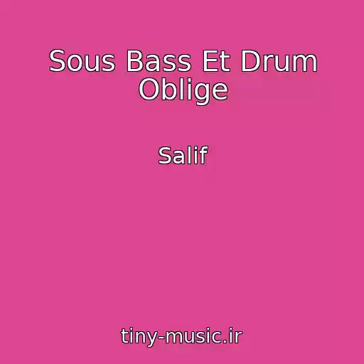 کاور آهنگ Sous Bass Et Drum Oblige از Salif